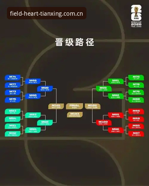 2026世界杯J组观察指南：德甲基因如何决定出线格局